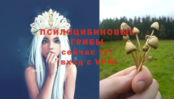2c-b Белоозёрский